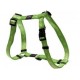 Rogz Alpinist Harness Lime